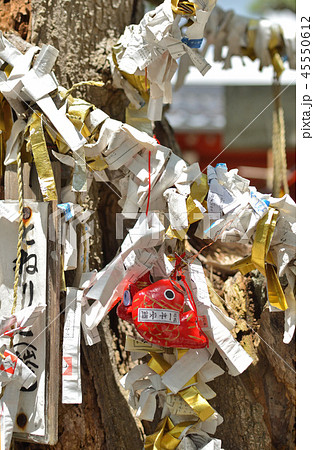 新潟市内散歩:湊稲荷神社 新潟市内散歩:湊稲荷神社 45550612