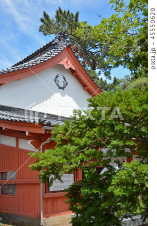 新潟市内散歩：湊稲荷神社 45550620