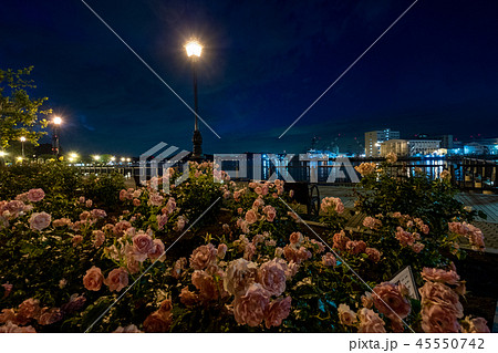夜の軍港とバラ01 45550742