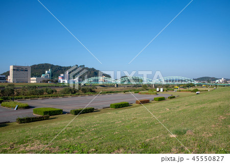 渡良瀬川　河川敷 45550827