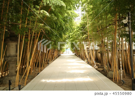 長青山梅窓院 45550980