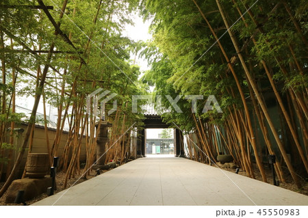 長青山　梅窓院 45550983