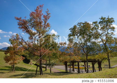 紅葉と木陰のベンチ 香川県まんのう公園 紅葉と木陰のベンチ 香川県まんのう公園 45551006