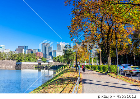 東京 皇居周辺の風景(桜田濠と桜田門) 東京 皇居周辺の風景(桜田濠と桜田門) 45551012