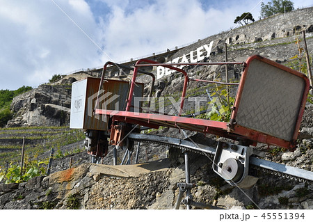 ラヴォー地区のぶどう畑の機械 (Field of Grape in Lavaux) ラヴォー地区のぶどう畑の機械 (Field of Grape in Lavaux) 45551394