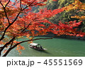 嵐山紅葉 45551569