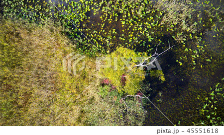 田沢湖線の沿線風景 45551618