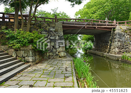 街風景 水郷 近江八幡 街風景 水郷 近江八幡 45551625