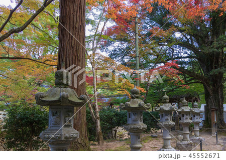 臨済宗佛通寺参道の紅葉 臨済宗佛通寺参道の紅葉 45552671
