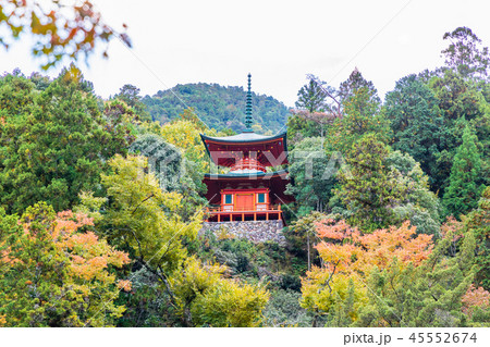 臨済宗佛通寺多宝塔と紅葉 臨済宗佛通寺多宝塔と紅葉 45552674