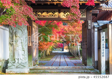 秋の岩国紅葉谷　臨済宗永興寺通用門の紅葉 45552687