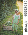 A little girl carries a huge watermelon on a cart 45552939