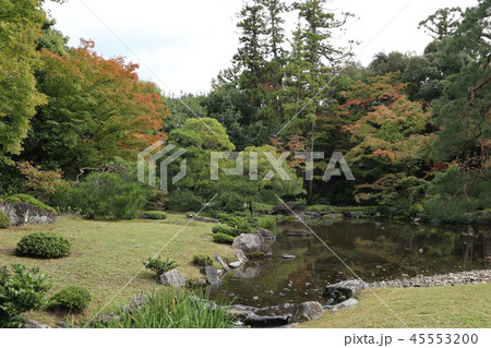 庭園 庭園 45553200