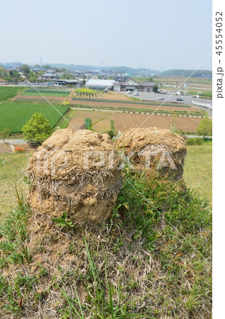 遺跡 猪俣百八燈(埼玉県児玉郡美里町猪俣) 遺跡 猪俣百八燈(埼玉県児玉郡美里町猪俣) 45554052