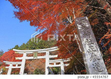 日本 秩父 秋の紅葉 日本 秩父 秋の紅葉 45554767