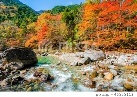 阿寺渓谷（１１月） 45555113