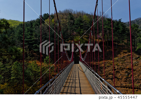 江華郡 高麗山 ツツジ 45555447