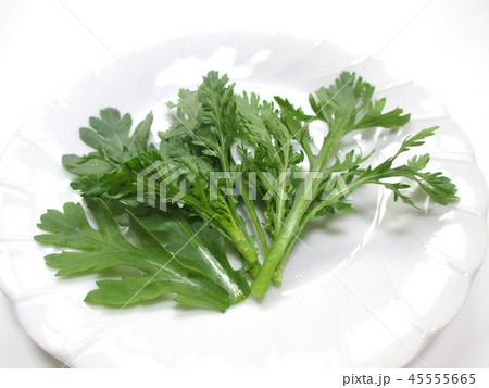 カットした春菊 カットした春菊 45555665