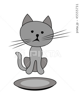 Sad hungry kitty with an empty food bowl. 45555731