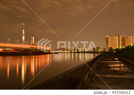 汐入公園から撮影した東京スカイツリーと夜景(東京都荒川区) 汐入公園から撮影した東京スカイツリーと夜景(東京都荒川区) 45556012