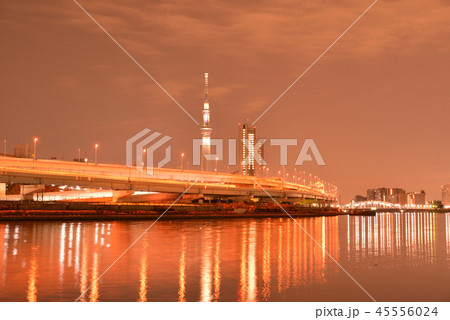 汐入公園から撮影した東京スカイツリーと夜景(東京都荒川区) 45556024