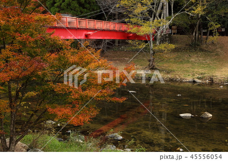 宇甘渓201811175dm29 45556054