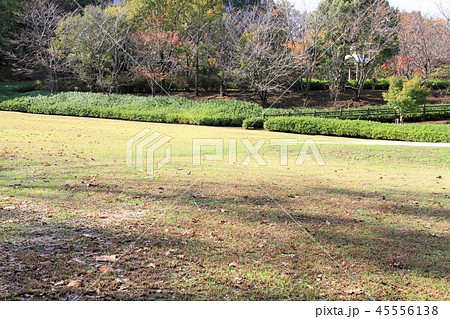 神奈川県厚木市 つつじの丘公園 神奈川県厚木市 つつじの丘公園 45556138