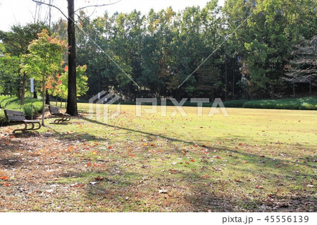 神奈川県厚木市 つつじの丘公園 神奈川県厚木市 つつじの丘公園 45556139