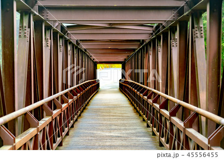 Wooden walk path  45556455