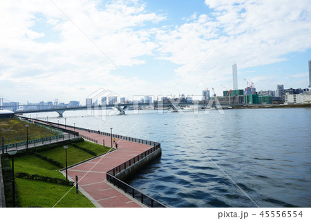 豊洲ぐるり公園と豊洲大橋 45556554