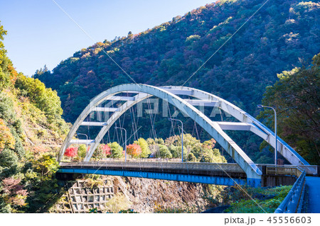 （神奈川県）宮ヶ瀬ダム　新石小屋橋　紅葉 45556603