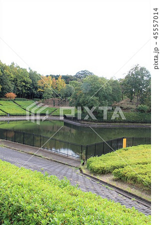 神奈川県厚木市 あつぎつつじの丘公園 神奈川県厚木市 あつぎつつじの丘公園 45557014