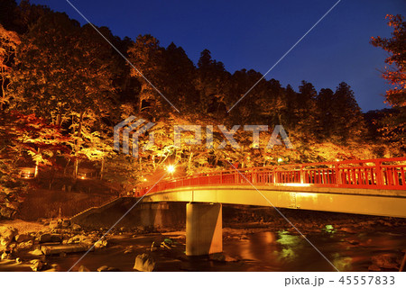 <紅葉> 香嵐渓 もみじ 旅館 <紅葉> 香嵐渓 もみじ 旅館 45557833