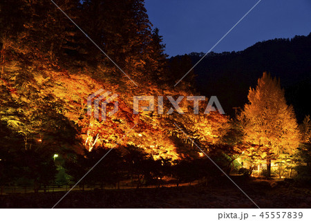<紅葉>　香嵐渓　もみじ　旅館 45557839