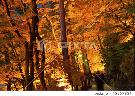 <紅葉> 香嵐渓 もみじ 旅館 <紅葉> 香嵐渓 もみじ 旅館 45557854