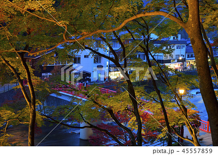 <紅葉> 香嵐渓 もみじ 旅館 <紅葉> 香嵐渓 もみじ 旅館 45557859
