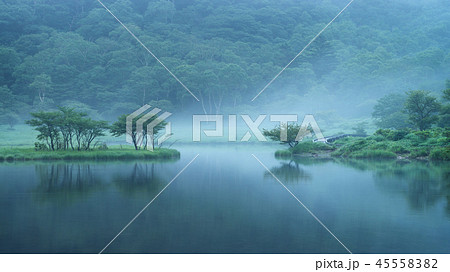 赤城山 朝霧の覚満淵 赤城山 朝霧の覚満淵 45558382
