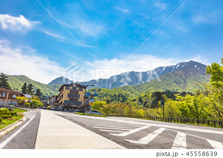 新緑の大山 新緑の大山 45558639