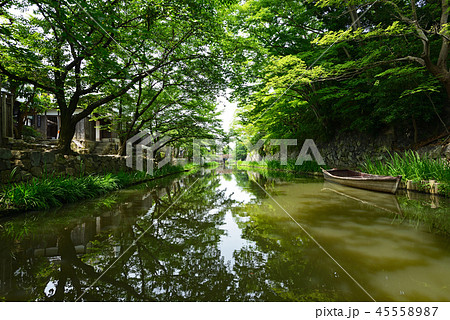 街風景 水郷 近江八幡 街風景 水郷 近江八幡 45558987