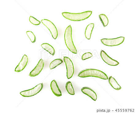 Aloe Vera Plant Isolated On White Background Aloe Vera Plant Isolated On White Background 45559762