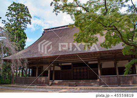 檀林講堂跡と青楓 45559819