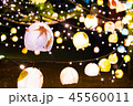 秋と冬と光　神戸森林植物園 45560011
