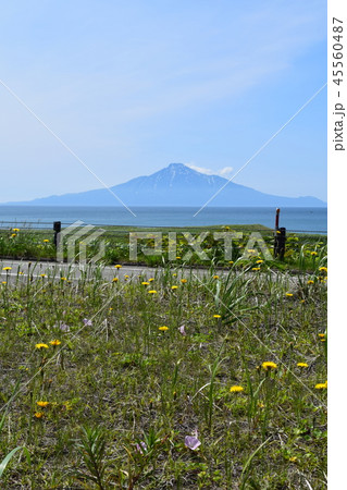 利尻山 45560487