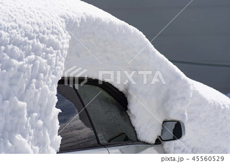 自動車に積雪2 自動車に積雪2 45560529