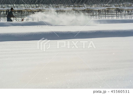 除雪作業 除雪作業 45560531