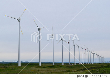 オトンルイ風力発電所 45561889