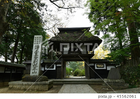 西念寺 西念寺 45562061