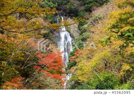 紅葉した神庭の滝 紅葉した神庭の滝 45562095