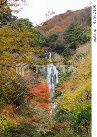紅葉した神庭の滝 紅葉した神庭の滝 45562100