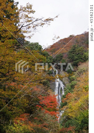 紅葉した神庭の滝 45562101